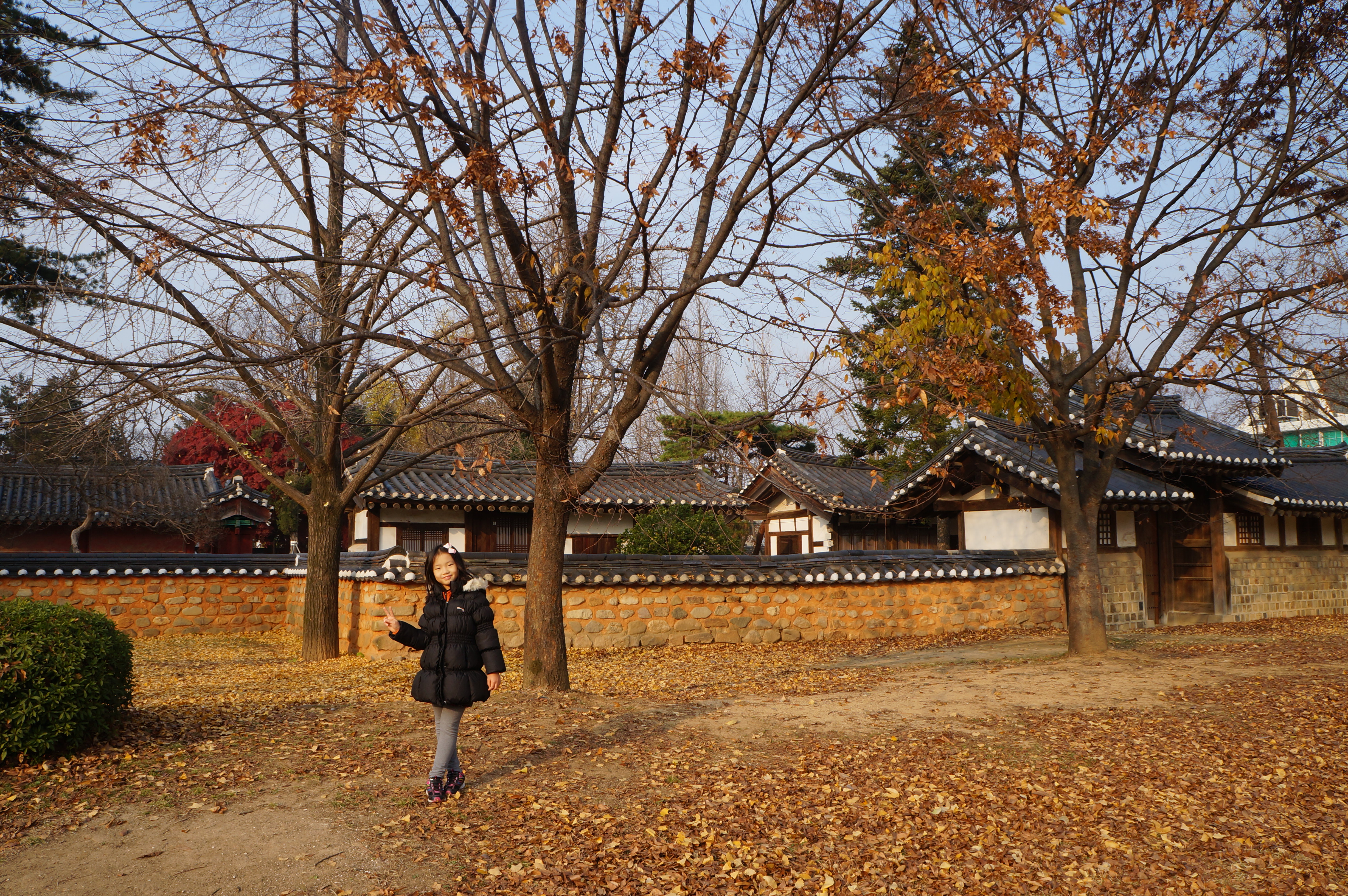 전주5